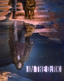 In the Dark temporada  2 online